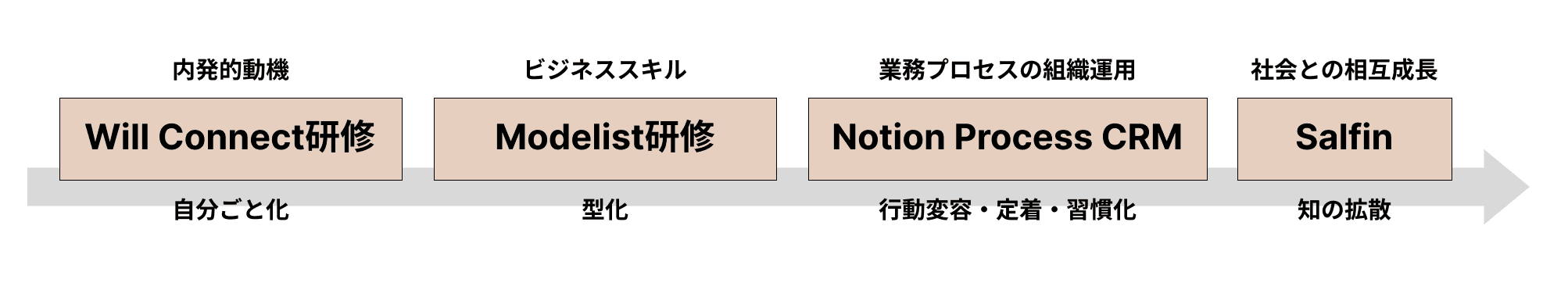 Modelistの事業のつながり:Will Connect研修(内発的動機・自分ごと化)→ Modelist研修(ビジネススキル・型化)→ Notion Process CRM(業務プロセスの組織運用・行動変容/定着/習慣化)→ Salfin(社会との相互成長・知の拡散)